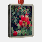 Rot Silbernes Ornament (Rechts)