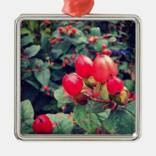 Rot Silbernes Ornament