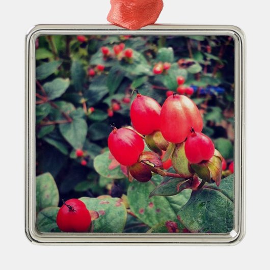 Rot Silbernes Ornament (Vorne)