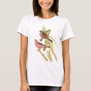 Rot-überzogenes Rosefinch T-Shirt