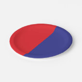 Rot und Blau Pappteller (Schrägansicht)