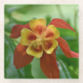 Rot und Gelb-Bicolor-Kolumne Glasuntersetzer (Vorderseite)