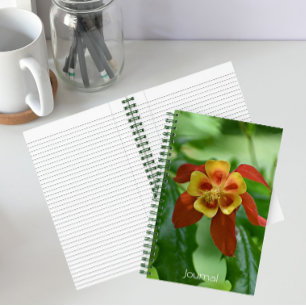 Rot und Gelb-Bicolor-Kolumne Notizblock
