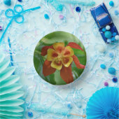 Rot und Gelb-Bicolor-Kolumne Pappteller (Party)