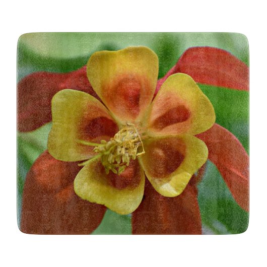 Rot und Gelb-Bicolor-Kolumne Schneidebrett (Vorderseite)