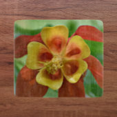 Rot und Gelb-Bicolor-Kolumne Schneidebrett