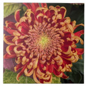 Rot und Gelb Chrysanthemum Floral Fliese (Vorderseite)
