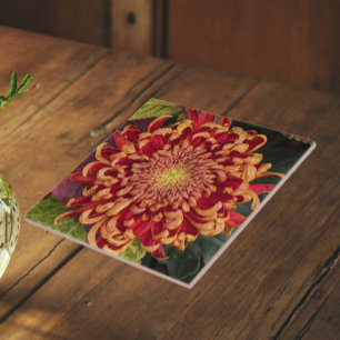Rot und Gelb Chrysanthemum Floral Fliese