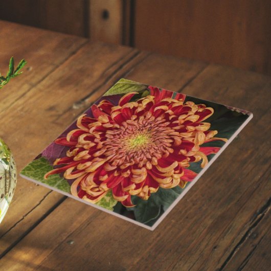 Rot und Gelb Chrysanthemum Floral Fliese