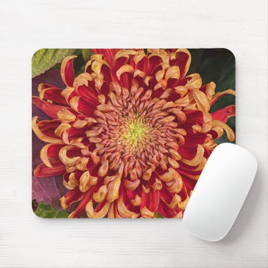 Rot und Gelb Chrysanthemum Floral Mousepad (Mit Mouse)