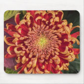 Rot und Gelb Chrysanthemum Floral Mousepad (Vorne)