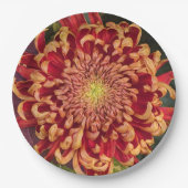 Rot und Gelb Chrysanthemum Floral Pappteller (Vorderseite)