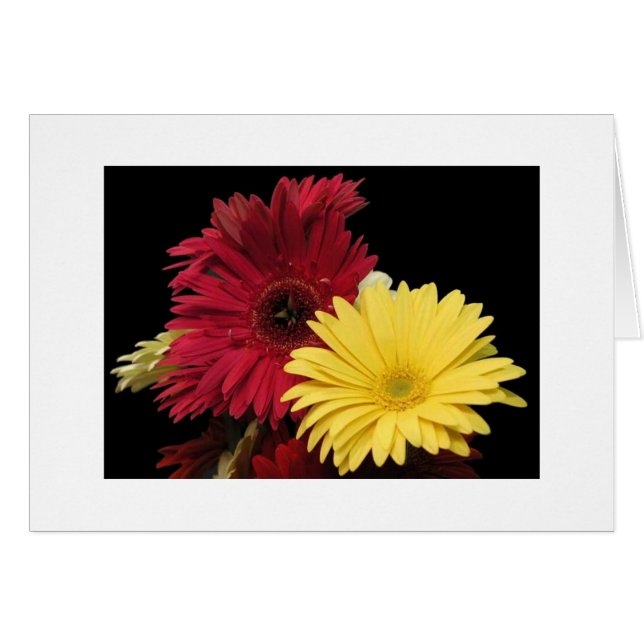 Rot und Gelb Dahlias" (Vorderseite (Horizontal))