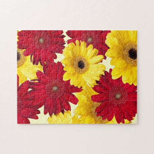 Rot und Gelb Gerber Daisy Fotograf Puzzle (Horizontal)