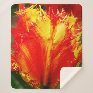 Rot und gelb Nah-oben Curly Tulip Sherpadecke