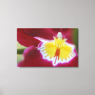 Rot und Gelb Orchid Leinwanddruck