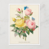 Rot und Gelb Rosen von Pierre Joseph Redoute Postkarte (Vorderseite)