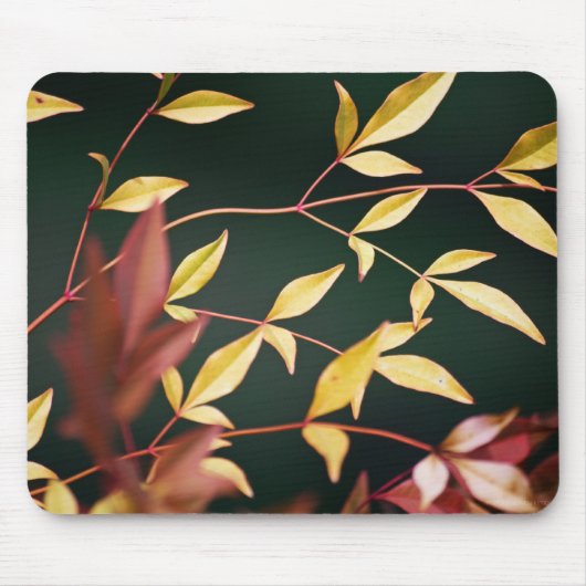Rot und Gold Mousepad (Vorne)