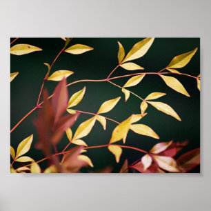Rot und Gold Poster