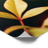 Rot und Gold Poster (Ecke)