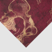 Rot- und Goldanatomie Zeichnend auf Red Decoupage Seidenpapier (Detail)