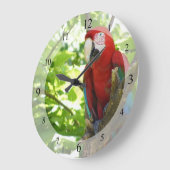 Rot und Goldmacaw-Uhr Große Wanduhr (Winkel)