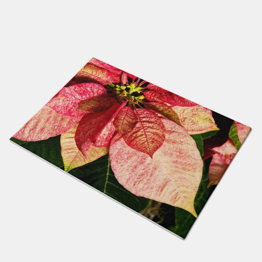 Rot und Goldpoinsettia-Tür-Matte Fußmatte (Schrägansicht)