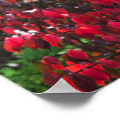 Rot und Grün Poster (Ecke)