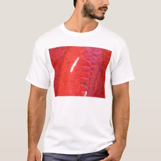 Rot und Grün T-Shirt
