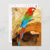 Rot und Grün, Trinidad Postcard Postkarte (Vorne/Hinten)