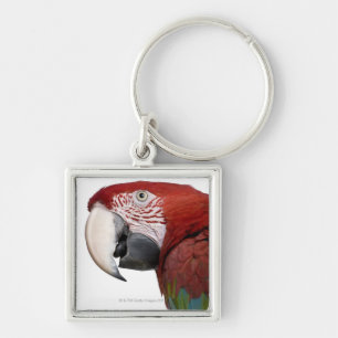 Rot-und-grüner Macaw - Ara chloropterus Schlüsselanhänger