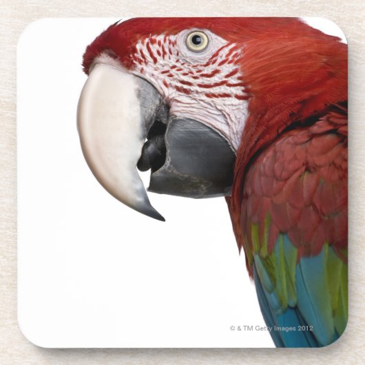 Rot-und-grüner Macaw - Ara chloropterus Untersetzer (Vorderseite)