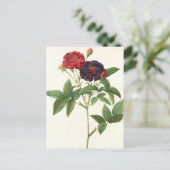 Rot und Lila Postkarte (Stehend Vorderseite)