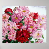 Rot und Rosa Rosen 2008 Poster (Vorne)