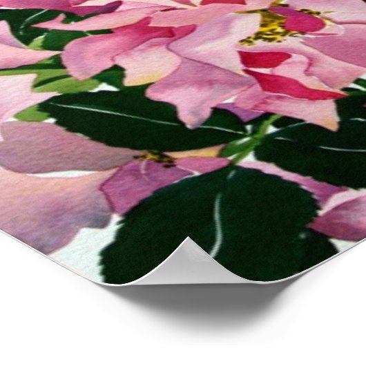 Rot und Rosa Rosen 2008 Poster (Ecke)