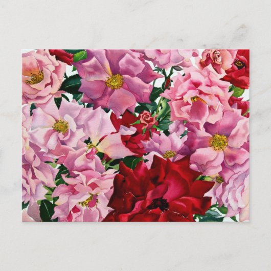 Rot und Rosa Rosen 2008 Postkarte (Vorderseite)