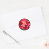 Rot und Rosa Runder Aufkleber (Umschlag)
