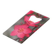 Rot und Rosa tropische Fidschi-Blume Geldkarten Flaschenöffner (Vorderseite Schrägansicht)