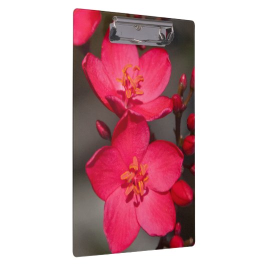 Rot und Rosa tropische Fidschi-Blume Klemmbrett (Rechts)