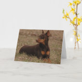 Rot und Rost-Dobermann Karte (Gelbe Blume)