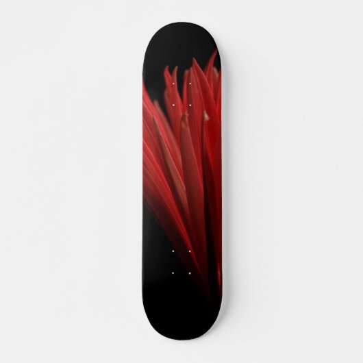 Rot- und Schwarzentwurf Skateboard (Vorne)