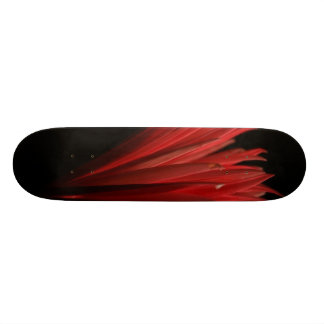 Rot- und Schwarzentwurf Skateboard