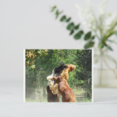 Rot und Tango beim Spielen Postkarte (Stehend Vorderseite)