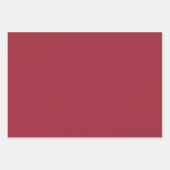 Rot und Wald Grün und Weiß Weihnachtsgeschenke Geschenkpapier Set (Vorderseite)