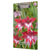 Rot und Weiß Gladiolas Sommer botanisch Klemmbrett (Links)