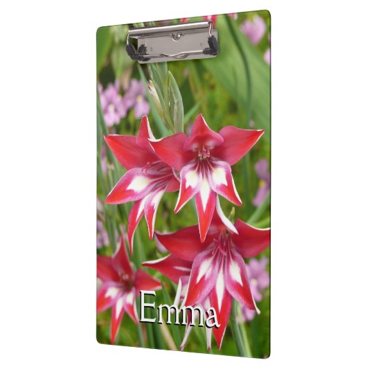 Rot und Weiß Gladiolas Sommer botanisch Klemmbrett (Links)