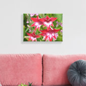 Rot und Weiß Gladiolas Sommer botanisch Leinwanddruck (Insitu (Wohnzimmer))