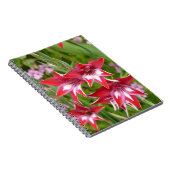 Rot und Weiß Gladiolas Sommer botanisch Notizblock (Rechte Seite)