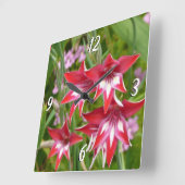 Rot und Weiß Gladiolas Sommer botanisch Quadratische Wanduhr (Winkel)
