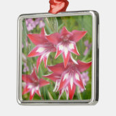 Rot und Weiß Gladiolas Sommer botanisch Silbernes Ornament (Links)